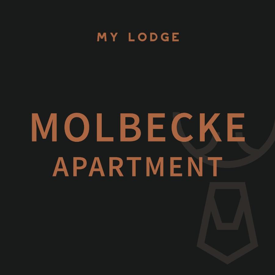 My Lodge Winterberg Room photo